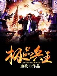 极品兵王穿越成驸马