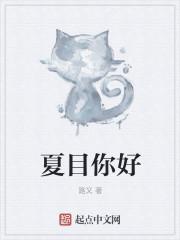 夏目是什么电视剧