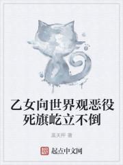 乙女向的意思是什么啊