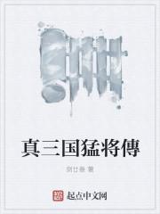 真三国无双猛将传完全版