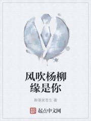 风吹着杨柳歌曲