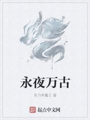永夜简介
