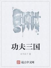 功夫 3d