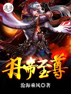 至尊丹帝 书包