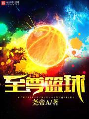 至尊公司最新信息