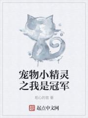 宠物小精灵之我为冠军免费阅读