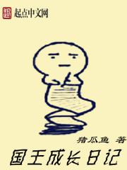 国王的日记怎么写