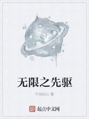 无限先驱模型说明书