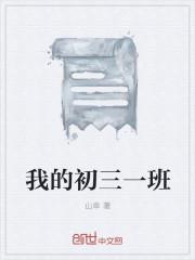 我的初三同学们作文800字