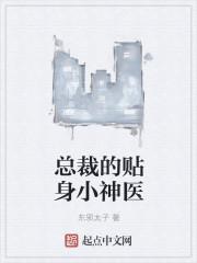 总裁的贴身小宝贝