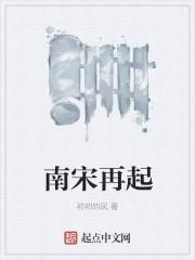 南宋 建立