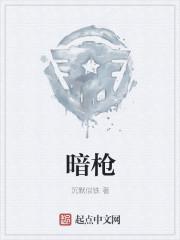 暗枪 第147章