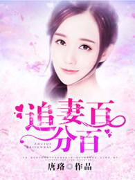 追妻的一百种错误方式