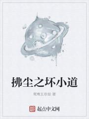 拂尘是干嘛用的