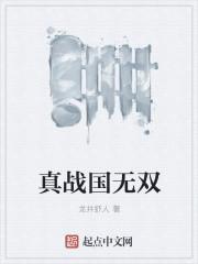 战国无双5全事件收集