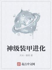 装甲进化是完全体吗