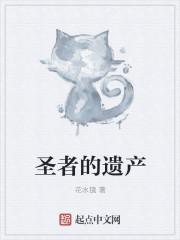 圣者遗留的记忆有什么用?