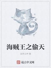 海贼王之偷窃系统