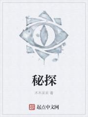 密探风之少年