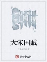 大宋军阀