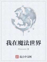 我在魔法世界开创互联网时代无弹窗