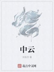 中云网安科技有限公司