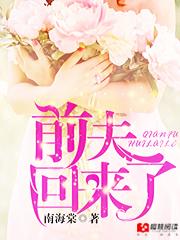 前夫回家电视连续剧演员表
