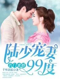 陆少宠妻无限