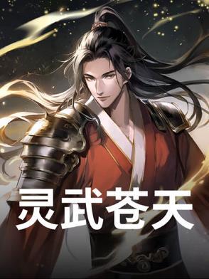灵武天下等级