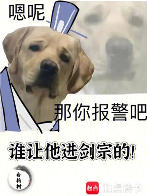 谁让他进剑宗的百科