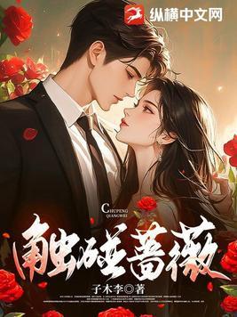 触碰蔷薇大结局番外免费阅读