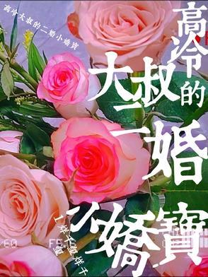 高冷大叔宠妻无限全文免费阅读