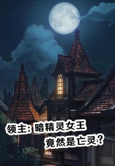 黑暗精灵 领主