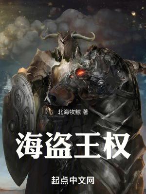 海盗王指南书