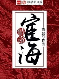 宦海征途无弹窗