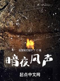 风之声暗夜