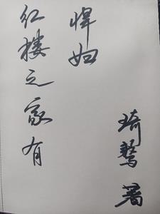 红楼之林家有子专题