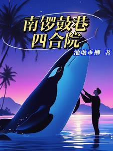南锣鼓巷的四合院是国家还是个人