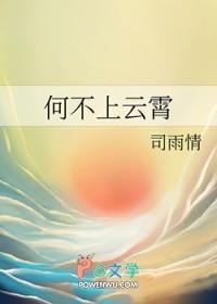 何不上云霄司雨情