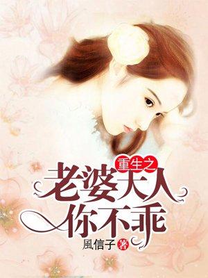 重生之老婆我宠你