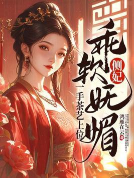 侧妃啥意思