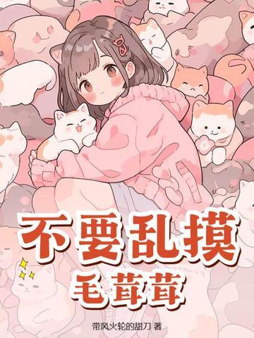 毛茸茸小使