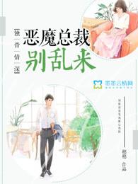 恶魔总裁别追我