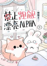 禁止觊觎漂亮alpha 剧透