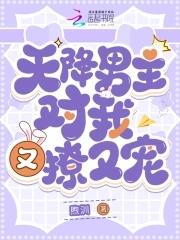 天降男友电视剧