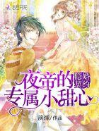 夜帝的替婚新妻txt