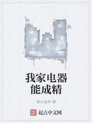 我家的电器作文600字