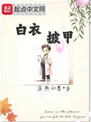 白衣披甲全本免费阅读