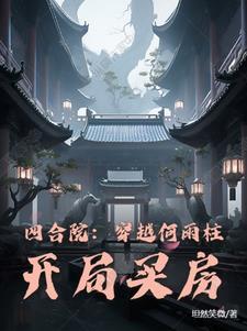 穿越四合院成何晓的