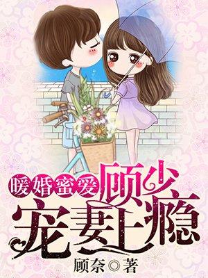 暖婚惊人顾少宠妻上瘾